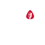The Stage